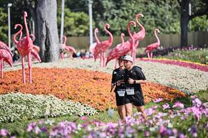 BIB: 
                            <button type="button" onclick="openModal(27793585)" class="btn btn-primary btn-sm float-right btn-popup" data-toggle="modal" data-target=".modal-high-quality">
                        <i class="fas fa-shopping-cart"></i> Add to Cart
                    </button>
                                            <button type="button" onclick="isThisMe(27793585, true)" class="btn btn-success btn-sm float-right btn-popup btn-isme hidden" data-toggle="tooltip" data-placement="bottom" title="นี่คือรูปของคุณใช่ไหม คลิกที่นี่เพื่อเอาเข้าอัลบั้ม">
                        <i class="fas fa-plus"></i> Add to album
                    </button>
                    <button type="button" onclick="isThisMe(27793585, false)" class="btn btn-warning btn-sm float-right btn-popup btn-isnotme hidden">
                        <i class="fas fa-ban"></i> Remove from album
                    </button>